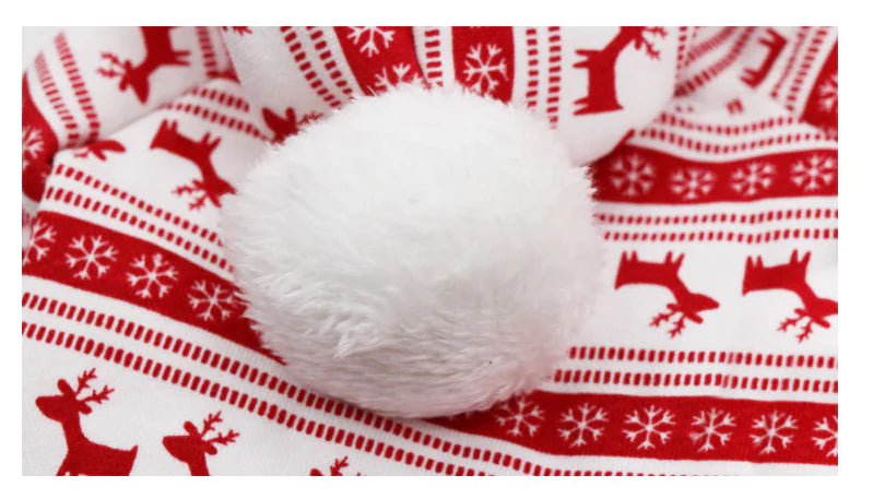 Gingerbread Dog Costume and Pet Accessories