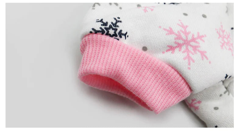 Gingerbread Dog Costume and Pet Accessories